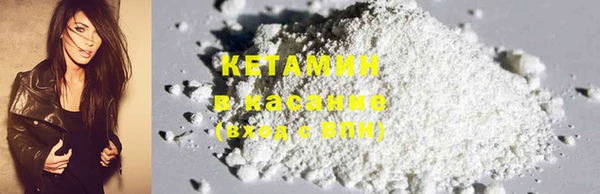 индика Козельск