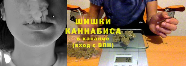 индика Козельск