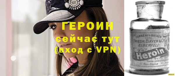 индика Козельск