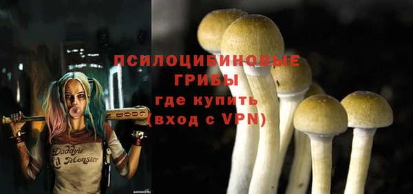 индика Козельск