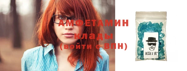 индика Козельск