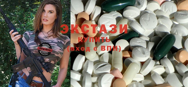 индика Козельск